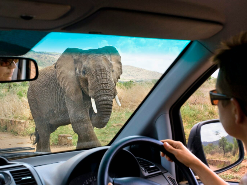 Self drive car rental Tanzania