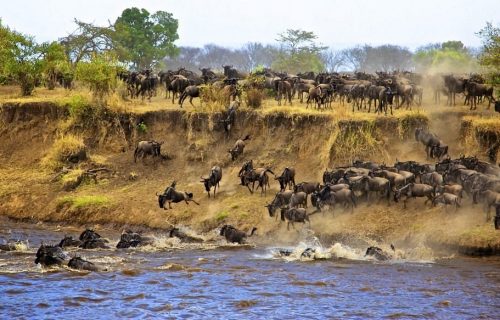 self drive Serengeti