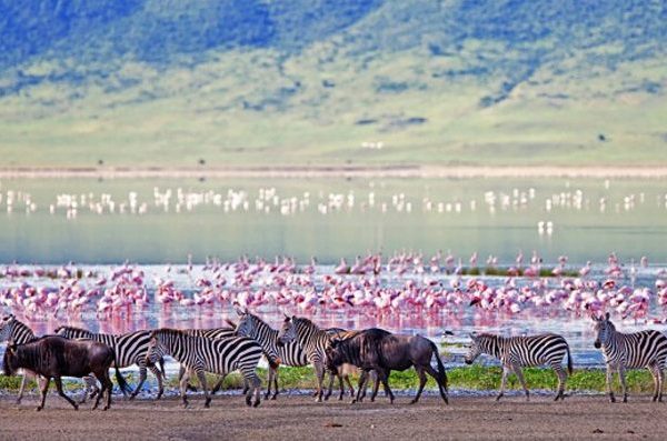 Ngorongoro Conservation Area