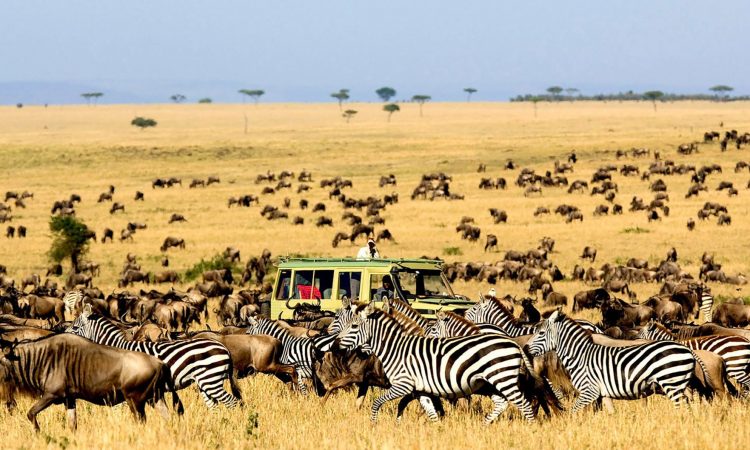 serengeti-national-park-1