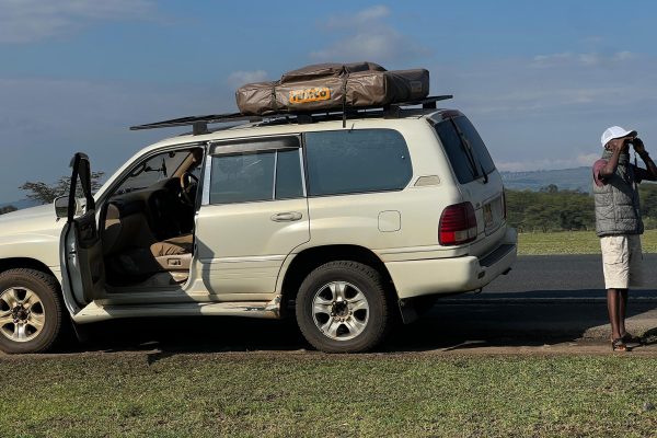 self drive Tanzania specialists